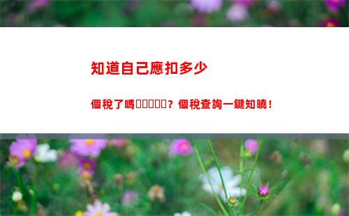 快速查詢個稅！- 臺州個人所得稅APP免費下載